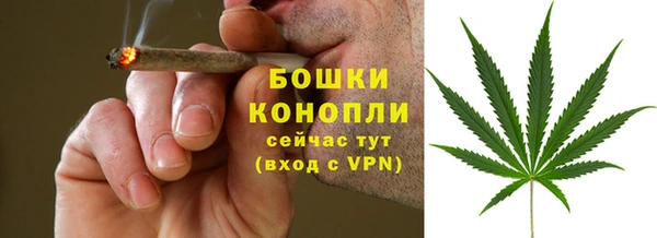 сатива Зеленодольск