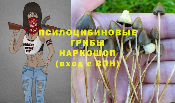 ешки Зеленокумск