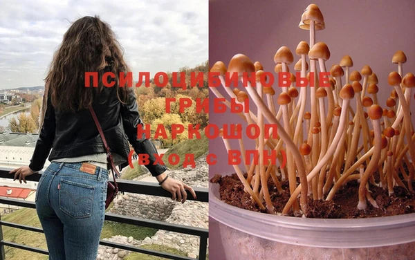 ешки Зеленокумск