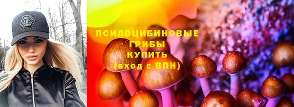ешки Зеленокумск